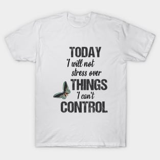 Today I will not stress over things I can't control T-Shirt